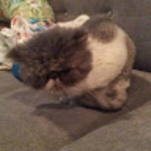 Meet your Posher, Traci